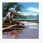 Occupational Health